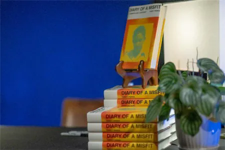 Stack of Diary of a Misfit books on a table with a potted plant and blue wall background.