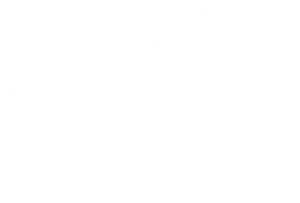 Downtown Springdale Alliance